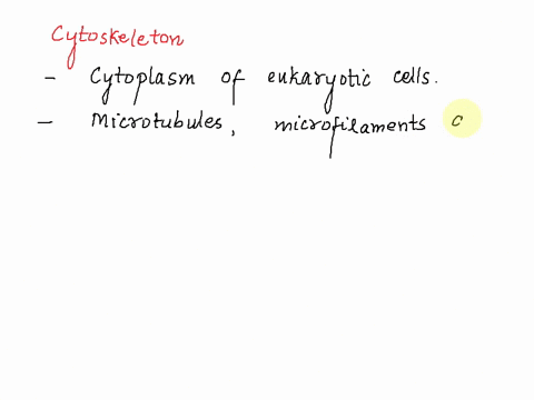 a-cytoskeleton-is-multiple-choice-ail-answers-are-correct-system-of-tracks-used-for-transport-composed-of-microtubules-and-microfilaments-structure-that-aids-in-the-process-of-cell-division-98745