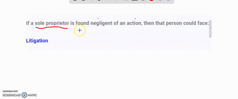 if-a-sole-proprietor-is-found-negligent-of-an-action-then-that-person-could-face-25327