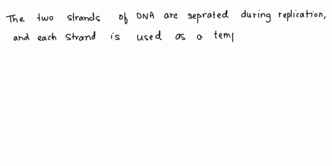 question-8-which-of-the-following-isare-true-about-replication-of-the-dna-double-helix-the-two-strands-are-separated-each-strand-is-used-as-a-template-for-making-a-new-double-stranded-dna-mo-31113
