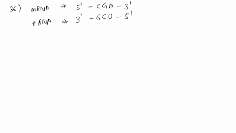 question-36-1-point-an-mrna-codon-of-5-cga-3-would-be-recognized-by-which-anticodon-containing-trnas-below-select-all-that-are-correct-if-none-are-correct-dont-select-any-5-ucg-3-5-gcu-3-5-u-09042