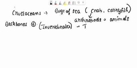 please-answer-im-confused-which-of-the-following-statements-describes-crustaceans-a-all-aquatic-vertebrate-animals-with-gills-that-dont-have-appendages-with-digits-b-members-of-the-arthropod-43904