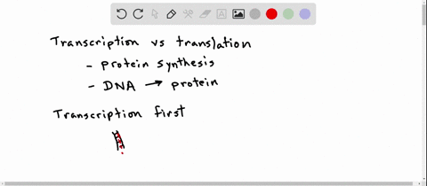 what-is-the-difference-between-transcription-and-translation
