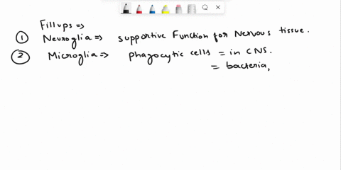 description-of-neurogllal-functlons-complete-the-sentences-describing-neuroglla-cells-blood-oligodendrocytes-the-large-group-of-cells-within-the-central-and-peripheral-nervous-systemcalled-s-66437