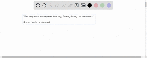 which-sequence-best-represents-the-flow-of-energy-through-an-ecosystem-84157