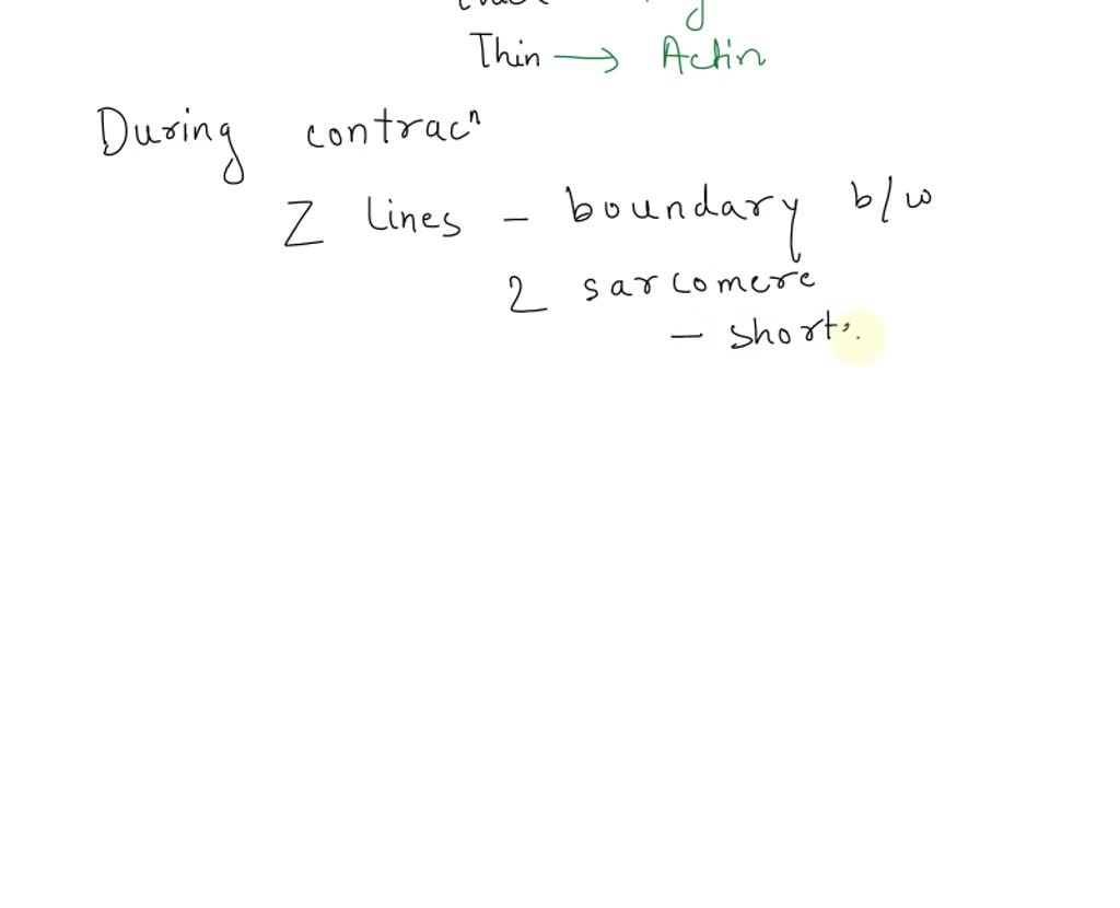 SOLVED: Muscles 1: In-class Activity Name: Label the structure of a