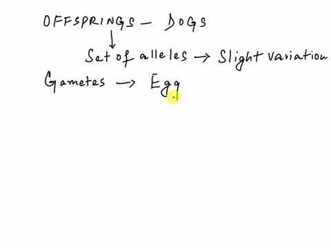 dogs-like-all-species-carry-many-different-genes-on-each-of-their-chromosomes-the-chromosomes-that-are-inherited-by-the-puppies-do-not-always-carry-the-same-set-of-alleles-for-these-genes-as-84883