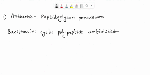 which-antibiotic-interferes-with-the-transport-of-peptidoglycan-precursors-across-the-cytoplasmic-membrane-doai-bacitracin-streptomycin-flucroquinclones-penicillin-how-many-different-bacteri-98282