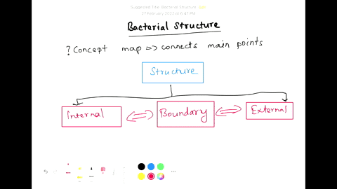 Create a concept map for a eukaryotic cell with eukaryotic...
