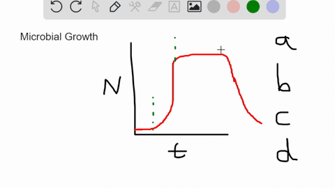 the-microbial-growth-phase-where-microbes-are-adjusting-to-their-new-environment-is-called-a-lag-phase-b-death-phase-c-stationary-phase-d-log-growth-phase-27545