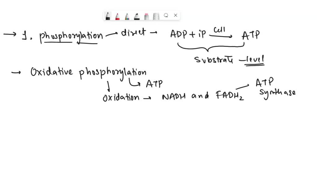 SOLVED Compared to the generation of ATP by oxidative phosphorylation