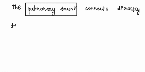 which-vessel-connects-directly-to-the-right-ventricle-92311