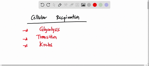 please-use-the-following-information-to-answer-the-following-question-glycolysis-transition-iz-glucose-pyruvale-acoa-6u-mitochondrion-the-final-electron-acceptor-represented-by-the-letter-ti-80914
