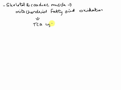 fatty-acid-oxidation-results-in-the-direct-production-of-53002