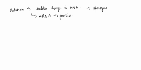 which-of-the-following-statements-is-correct-mutations-change-genotypes-which-may-result-in-changes-in-the-phenotype-selection-acts-on-the-phenotype-mutations-change-genotypes-which-may-resu-72997