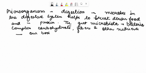 readeach-question-carefully-follow-the-instructions-topic-give-two-specific-examples-on-how-microorganisms-play-vital-rcle-in-our-ines-what-is-the-proper-way-t0-write-staphylococcus-aureus-l-00037