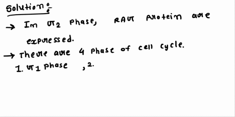 question-39-rag-proteins-are-expressed-during-mitosis-cytokinesis-go-and-g1-phases-5-phase-21498