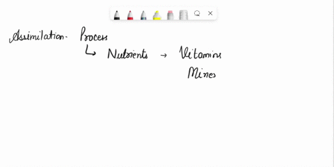 please-help-me-with-these-truefalse-question-thank-you-1-assimilation-is-a-process-where-enzymes-are-released-into-the-environment-extracellular-digestion-takes-place-and-nutrients-are-absor-09393