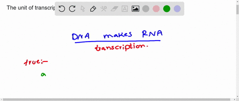 the-unit-of-transcription-at-the-molecular-level-is-true-the-gene-false-55792