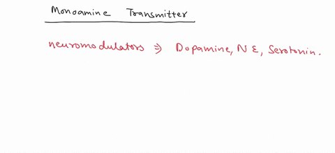 2-which-of-the-following-is-not-a-monoamine-neurotransmitter-select-one-o-adopamine-utof-o-bgaba-o-cepinephrine-o-dserotonin-42838