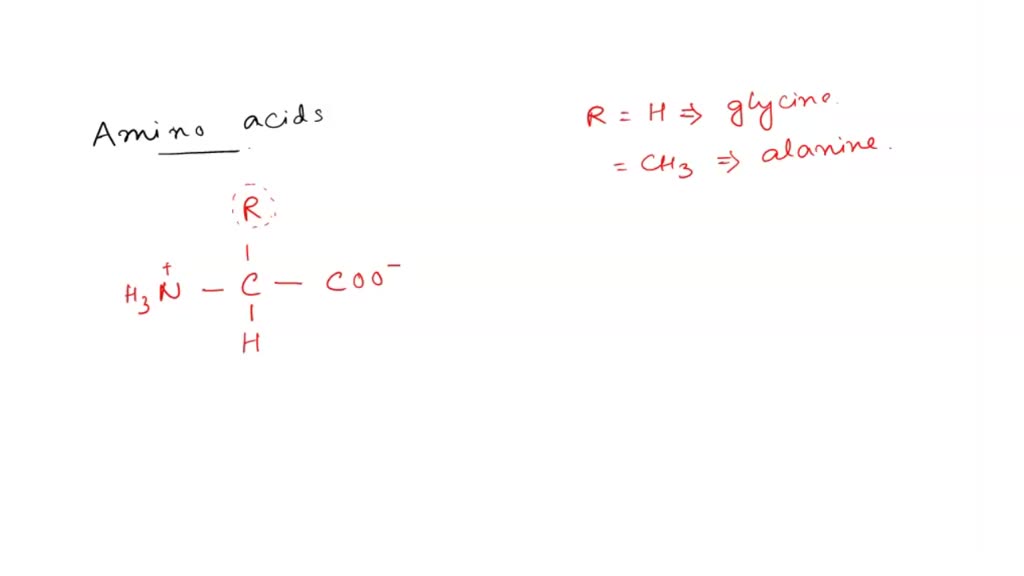SOLVED What functional group(s) are present in amino acids? (generic