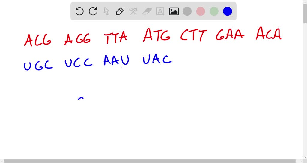 SOLVED: Below is a DNA sequence, write the corresponding mRNA sequence ...