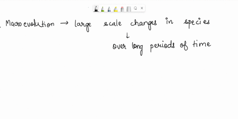 macroevolution-is-looking-at-patterns-on-the-tree-of-life-to-understand-what-happened-when-small-scale-change-in-allele-or-gene-frequency-that-can-be-detected-in-a-living-population-evidence-73943