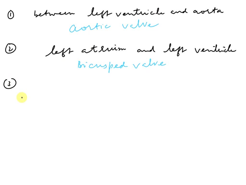 SOLVED: Complete the following sentences describing the location of the ...