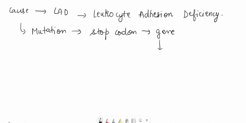 leukocyte-adhesion-deficiency-lad-is-a-genetic-defect-that-leads-to-recurrent-infections-in-the-tissue-and-severe-oroblems-with-wound-healing-lad-patients-also-develop-severe-gingivitis-infe-42945