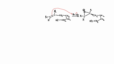 bromoetherification-the-addition-of-the-elements-of-br-and-or-to-a-double-bond-is-a-common-method-fo-26798