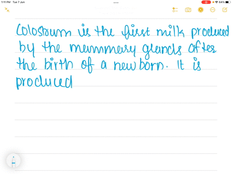 colostrum-is-a-critical-requirement-for-many-newborn-animals-why-is-colostrum-so-important-and-what-animals-require-it-25368