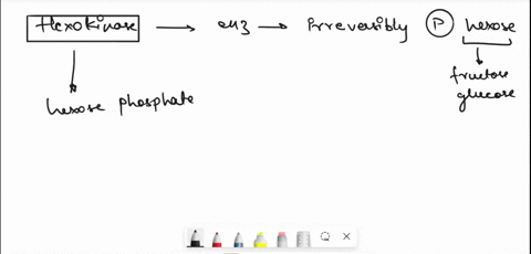match-each-term-with-its-description-a-hexokinase-forms-fructose-l6-bisphosphate-6-glucose-6-phosphate-isomerase-generates-the-first-high-phosphoryl-transfer-potential-compound-that-is-not-a-68182