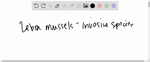 SOLVED: The zebra mussel is a highly invasive species that was