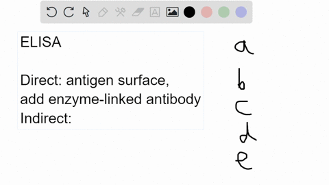 in-the-indirect-elisa-test-the-enzyme-linked-antibody-will-attach-to-select-one-a-to-antigen-coated-in-the-well-b-substrate-in-patient-serum-c-the-variable-region-of-the-patient-antibody-d-t-60856