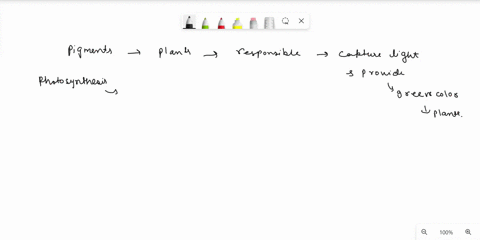 what-are-pigments-list-a-few-photosynthetic-pigments-that-are-found-in-plants-what-aspects-of-a-chloroplast-structure-are-directly-involved-in-the-light-dependent-reactions-and-the-calvin-cy-34553