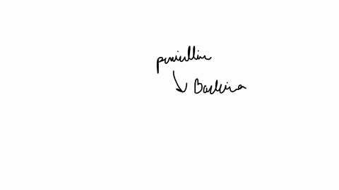 what-crucial-feature-of-a-penicillin-is-involved-in-its-mechanism-of-action