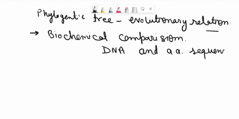 the-phylogenetic-tree-illustrates-the-relationship-between-humans-and-our-closest-living-relatives-the-tree-was-based-on-biochemical-comparisons-including-dna-and-amino-acid-sequences-accord-48907