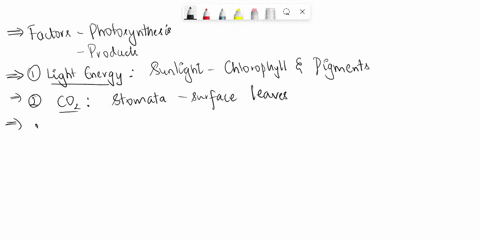 what-are-the-factors-essential-for-photosynthesis-and-what-are-the-products-made-after-photosynthesis-54755