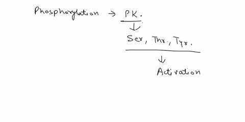 phosphorylation-cascades-involving-a-series-of-protein-kinases-are-useful-for-cellular-signal-transduction-because-a-they-are-species-specificb-they-always-lead-to-the-same-cellular-response-21342