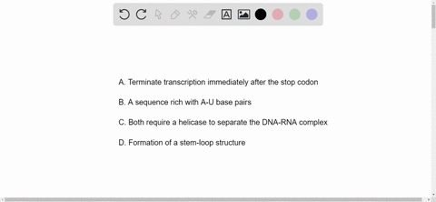 what-do-both-the-rho-dependent-and-rho-independent-mechanisms-of-termination-have-in-common-answer-choices-a-terminate-transcription-immediately-after-the-stop-codon-b-a-sequence-rich-with-a-89112