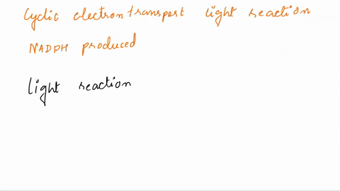 in-terms-of-the-spatial-organization-of-photosynthesis-within-the-chloroplast-what-is-the-advantage-39249