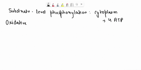distinguish-the-dlfference-between-substrate-level-and-oxidative-phosphorylation-production-of-atp-where-does-each-take-place-in-cellular-respiration-how-much-atp-from-glucose-is-made-by-sub-74459