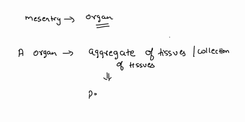 what-must-be-true-if-the-mesentery-is-an-organ-choose-the-three-statements-that-apply-a-it-is-part-of-an-organ-system-b-it-has-a-specific-function-in-the-body-c-it-is-composed-of-different-k-84036