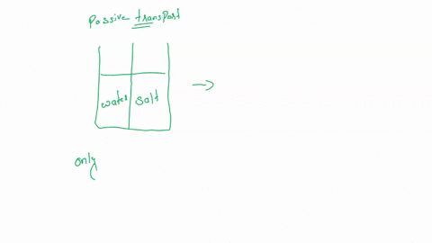 5-water-moves-across-membranes-by-a-process-called-passive-transport-or-specially-is-facilitated-diffusion-assuming-only-water-can-cross-the-membrane-in-the-diagram-below-draw-what-would-hap-50388