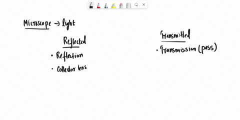 what-is-the-difference-between-reflected-vs-transmitted-light-microscope-54022