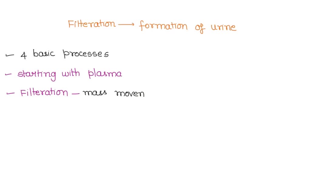 SOLVED How does filtration occur during the formation of urine? A