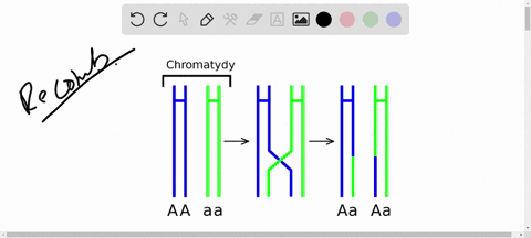 what-does-the-term-recombination-mean-what-are-two-causes-of-recombination-2-79183