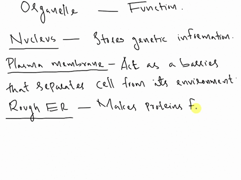 normal-no-spacheading1heading2-title-paragraph-determine-the-events-of-the-phases-of-the-cell-cycle-styles-identify-types-of-cells-on-slides-and-know-their-structural-adaptations-and-functio-46499