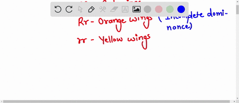 there-are-three-possible-genotypes-and-phenotypes-for-wing-color-in-a-species-of-moth-rr-red-wings-rr-orange-wings-rr-yellow-wings-a-red-winged-moth-is-crossed-with-a-yellow-winged-moth-a-wh-79304