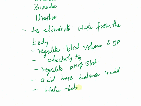 1-name-the-major-organs-of-the-urinary-system-and-their-basic-function-2-list-5-substances-that-are-regulated-by-the-kidneys-2-substances-that-are-secreted-by-the-kidneys-and-2-substances-th-11783