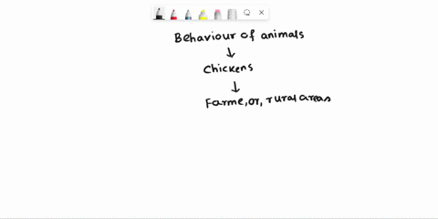 hello-why-did-the-chicken-cross-the-road-97318